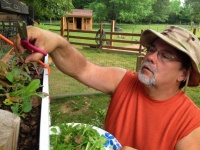 Houzz Call: Where Are the Craziest Places You Grow Edibles?