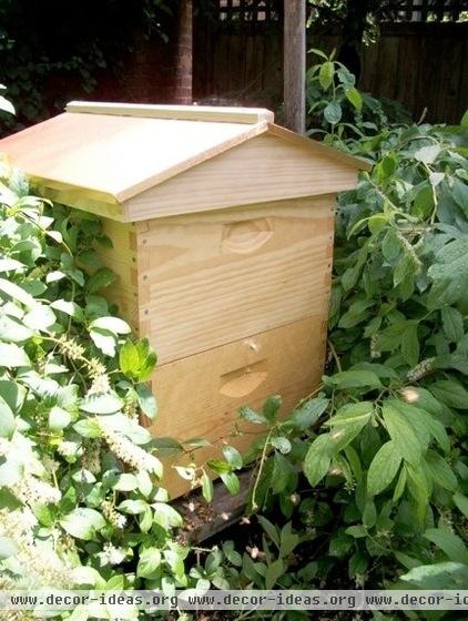 Hello, Honey: Beekeeping Anywhere for Fun, Food and Good Deeds