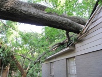My Houzz: Twister Damage Sparks a Whole Ranch Remodel