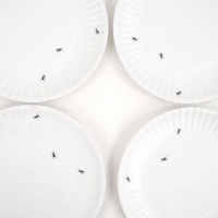 Guest Picks: Let the Ants Come Marching In