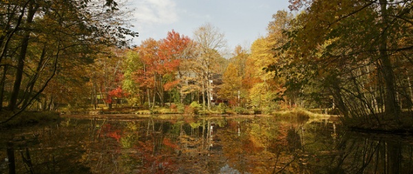 Traditional Landscape by Murdock Solon Architects
