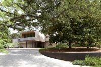 Great Design Plant: Southern Magnolia, Iconic U.S. Native
