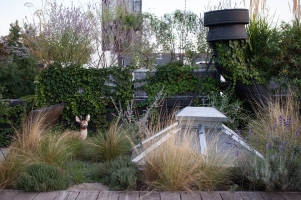 Contemporary Landscape by BROOK LANDSCAPE