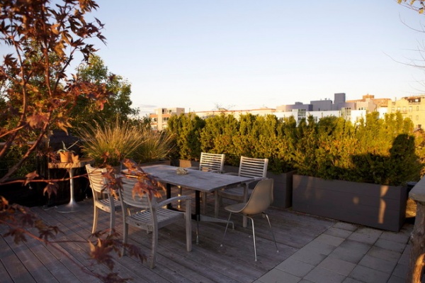 FORT GREENE ROOF GARDEN -- need to write