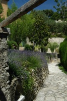 Lay of the Landscape: 12 Elements of Provence Garden Style