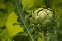 Your Garden Is Stirring — Here's What to Do in February