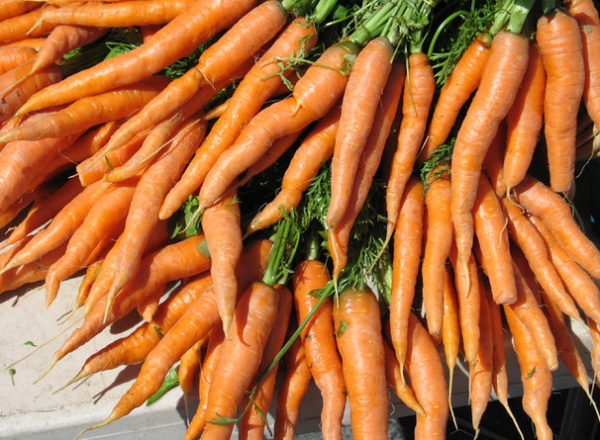 carrots