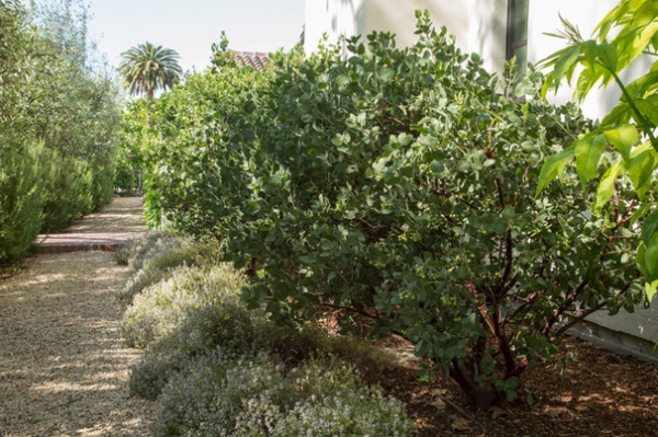 Mediterranean Landscape by Margot Hartford Photography