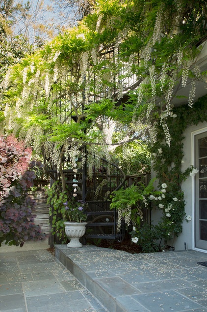 Tropical Patio by Margot Hartford Photography