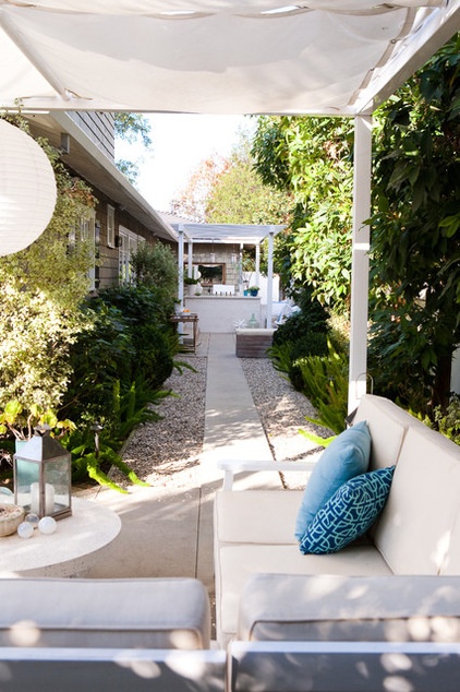 Traditional Patio by Molly Wood Garden Design