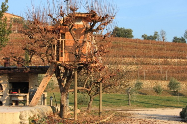 Farmhouse Landscape by TreeTopBuilder