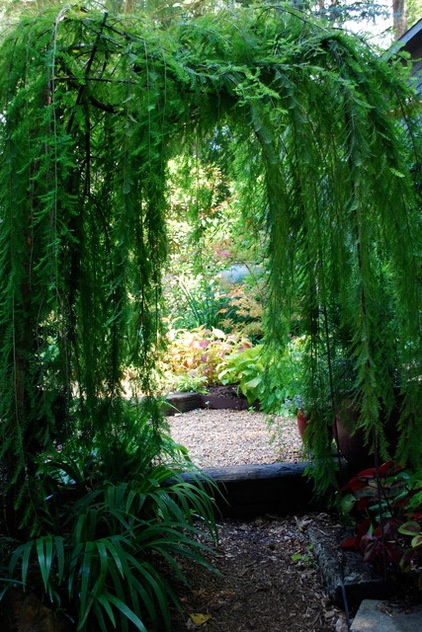 Eclectic Landscape by Jay Sifford Garden Design