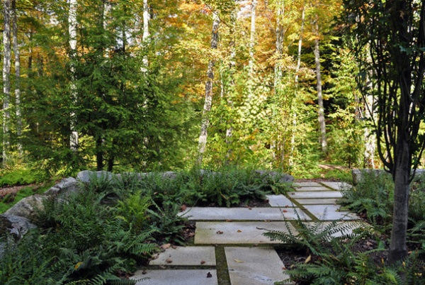 Contemporary Landscape by Shepard Butler Landscape Architecture