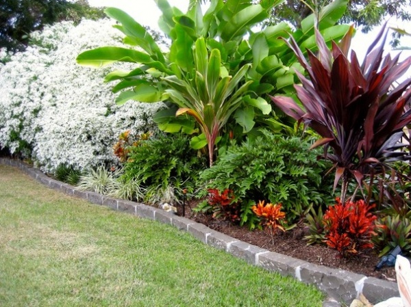 Tropical Landscape by Utopia Landscape Design