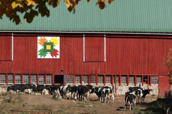 Barn Quilts