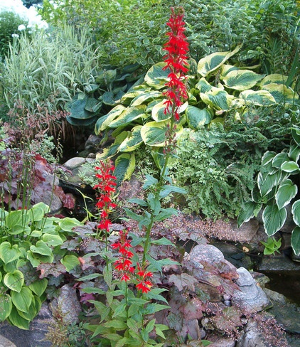 Traditional Landscape by Flowers in the Front Yard