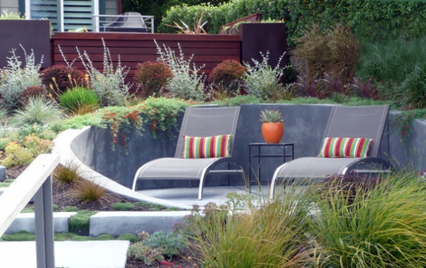 Contemporary Landscape by Dig Your Garden Landscape Design