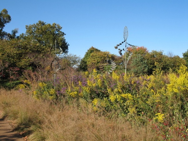 Landscape by Missouri Botanical Garden