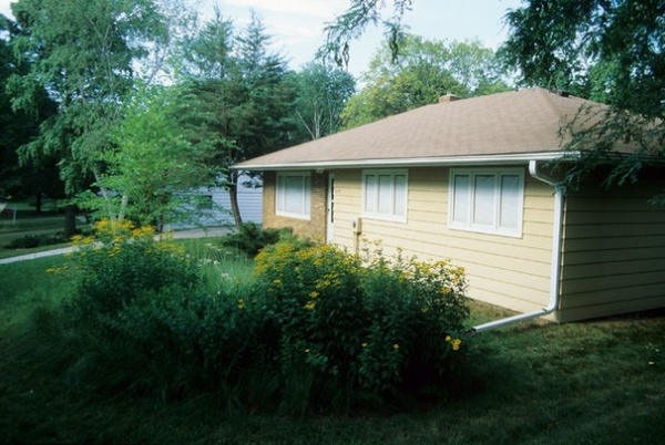 Rain Garden