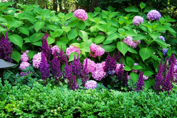 Traditional Patio by The Carter Rohrer Co.