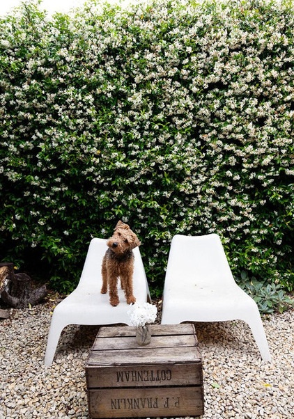 Eclectic Patio by Abigail Ahern