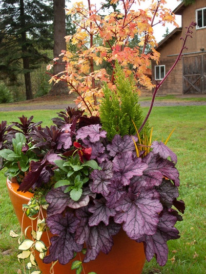 Landscape by Le jardinet