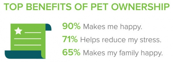 Pet Survey