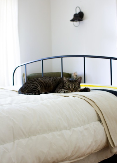 Midcentury Bedroom by A Darling Felicity Photography