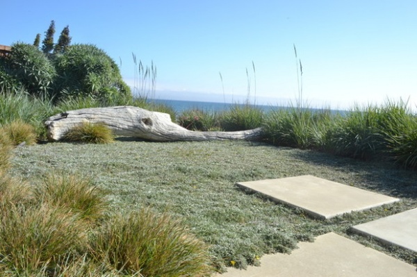 Beach Style Landscape by Jeffrey Gordon Smith Landscape Architecture