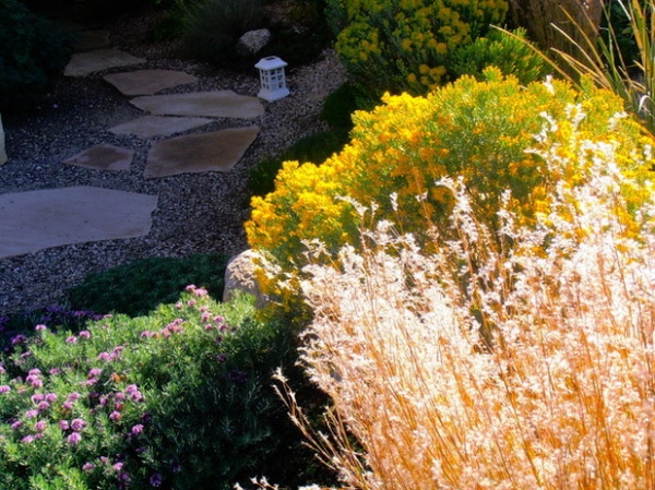 Eclectic Landscape by Waterwise Landscapes Incorporated