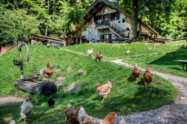 Rustic Landscape by Matteo De Stefano