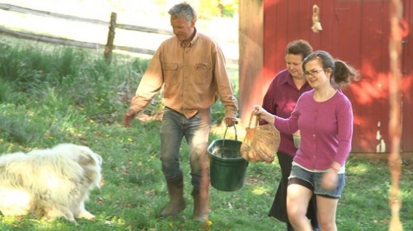 A New England Farmhouse Explodes With Color