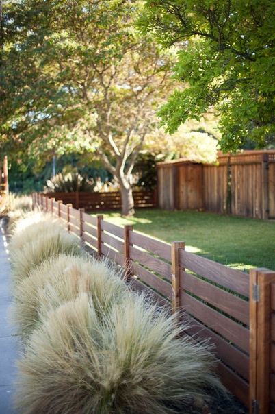 Transitional Landscape by Rollin Landscape Design