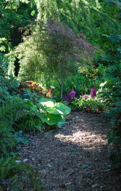 Traditional Landscape by Jay Sifford Garden Design