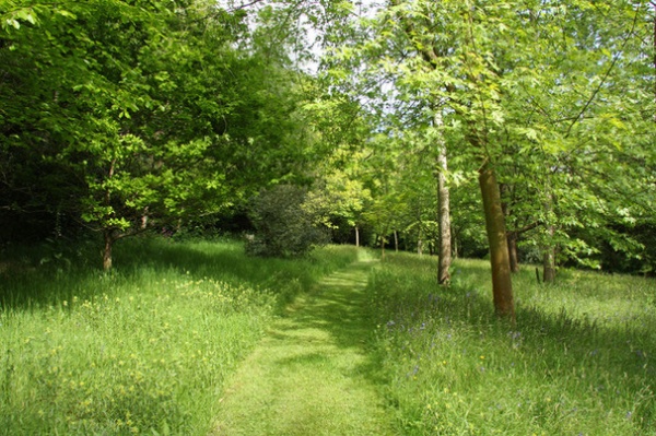 Traditional Landscape by Rebecca Smith Garden Design