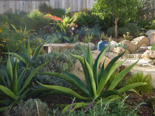 Mediterranean Landscape by Pat Brodie Landscape Design