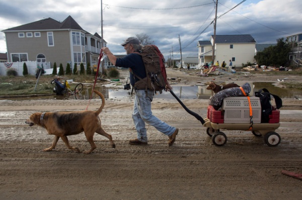 by American Red Cross