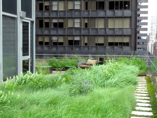 Great Design Plant: Andropogon Gerardii