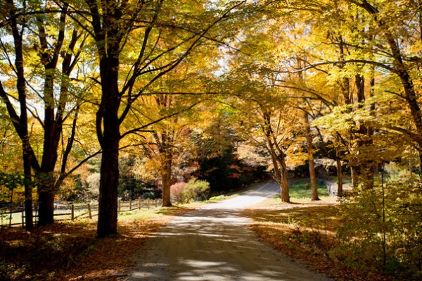 Houzz Call: Show Us Your Autumn Views