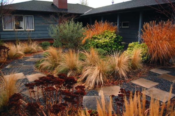 Contemporary Landscape by Garden Stories