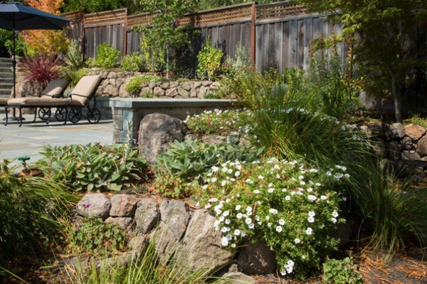 My Houzz: A Family Backyard for Dining, Relaxing, Swimming and Playing