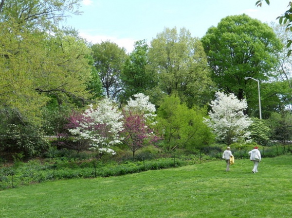 Traditional Landscape by Paintbox Garden