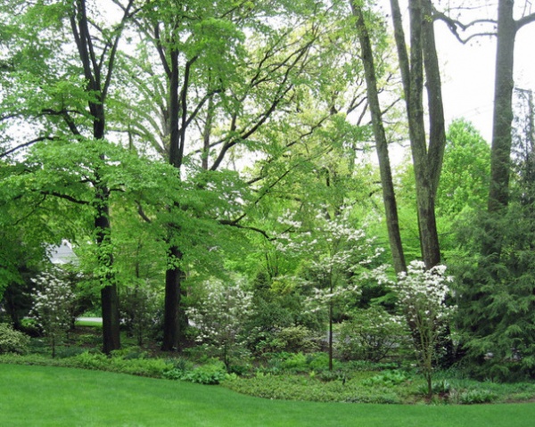 Traditional Landscape by Susan Cohan, APLD